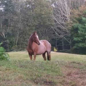 Meet your Posher, Maryann